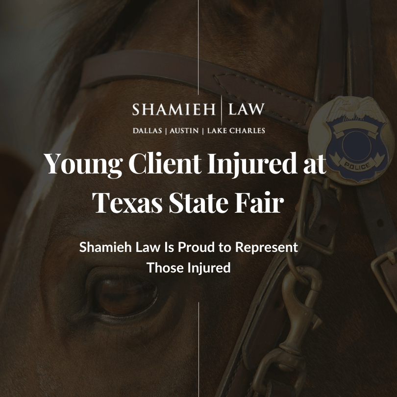 At Shamieh Law, we’re dismayed that what should have been a fun family outing turned into a traumatic experience for our client and his family.