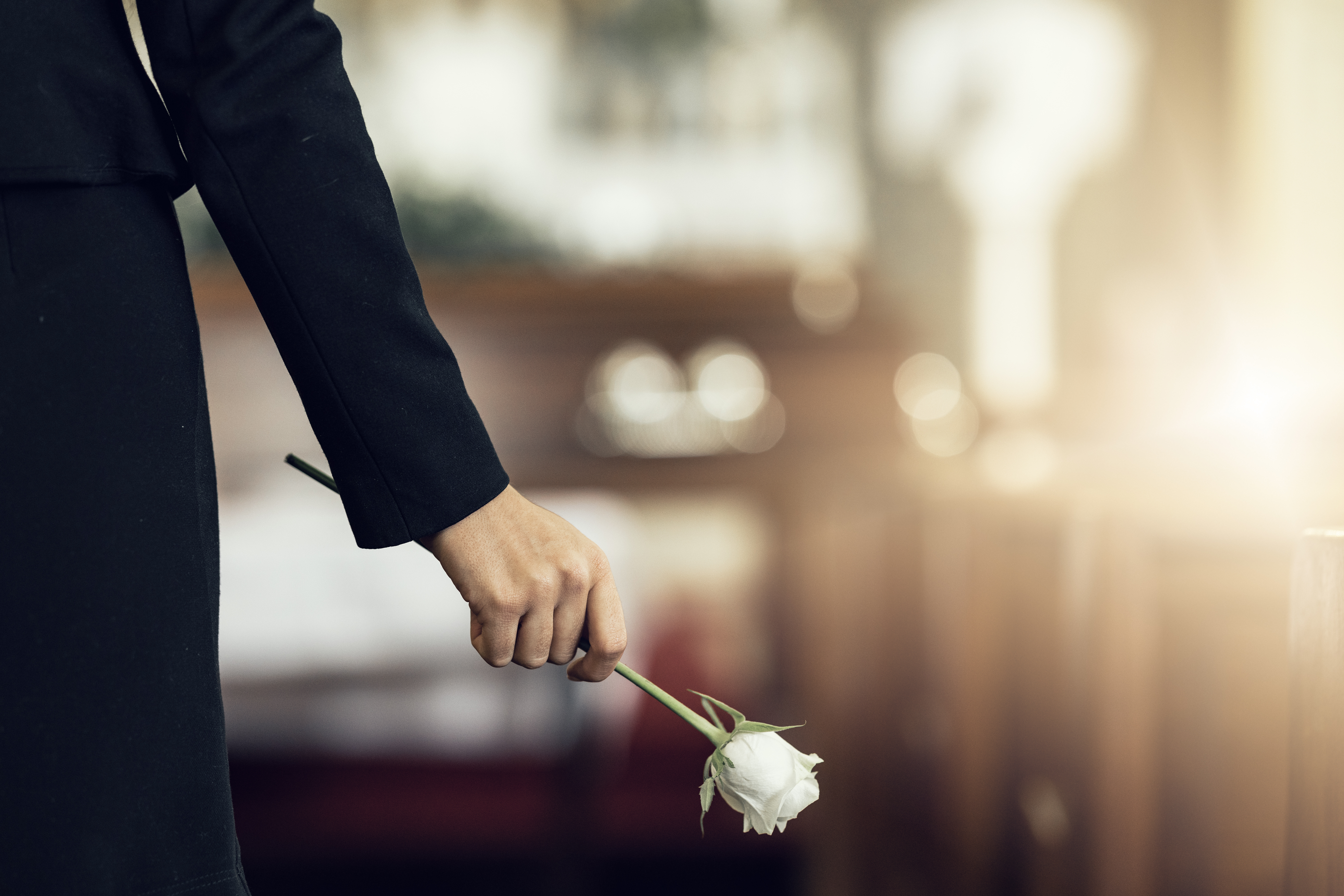 Flower, funeral and hand holding rose in mourning at death ceremony with grief for loss burial. Flo.