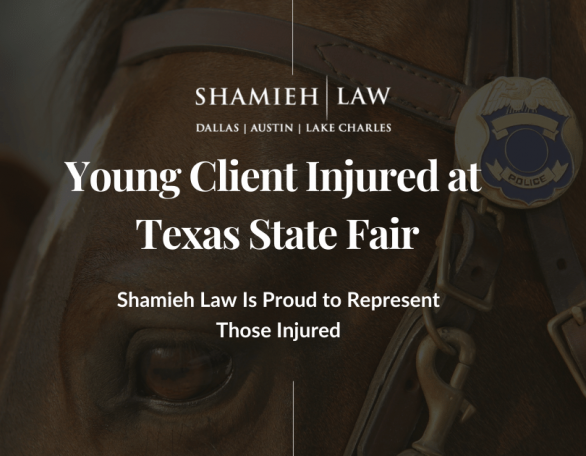 At Shamieh Law, we’re dismayed that what should have been a fun family outing turned into a traumatic experience for our client and his family.